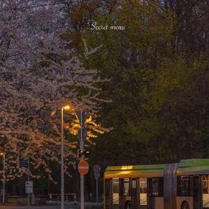 骚麦小咪儿喊麦网
