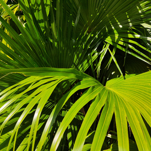 骚麦小咪儿喊麦网
